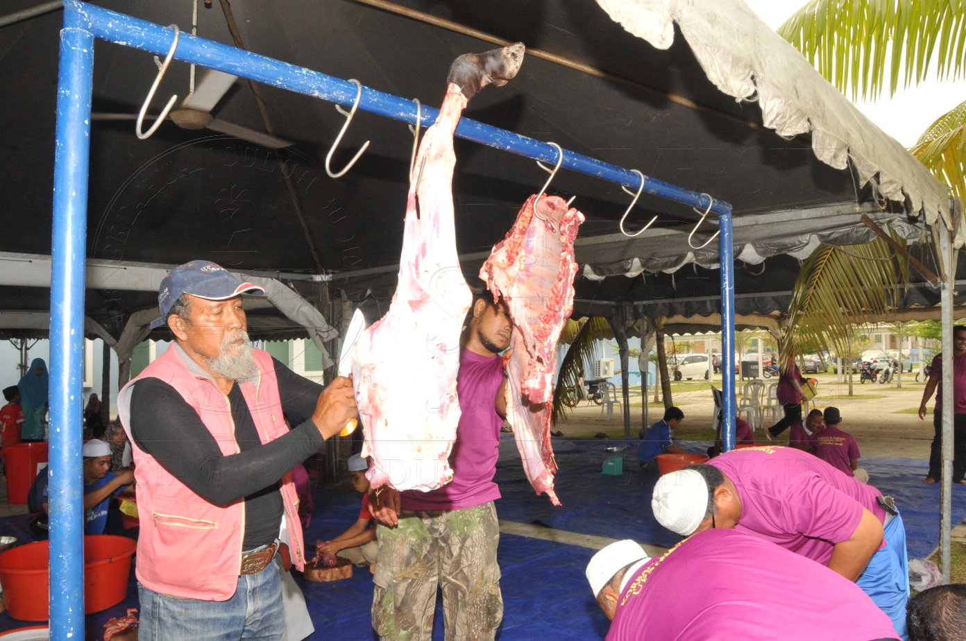 PRO15 150 KORBAN HAS 6960